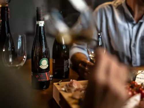 Centrum Vinařství Lahofer ve vinici U Hájku – LAHOtéka Dobšice