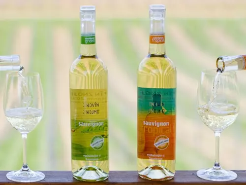 Znovín Znojmo – výrobce tradičních moravských vín