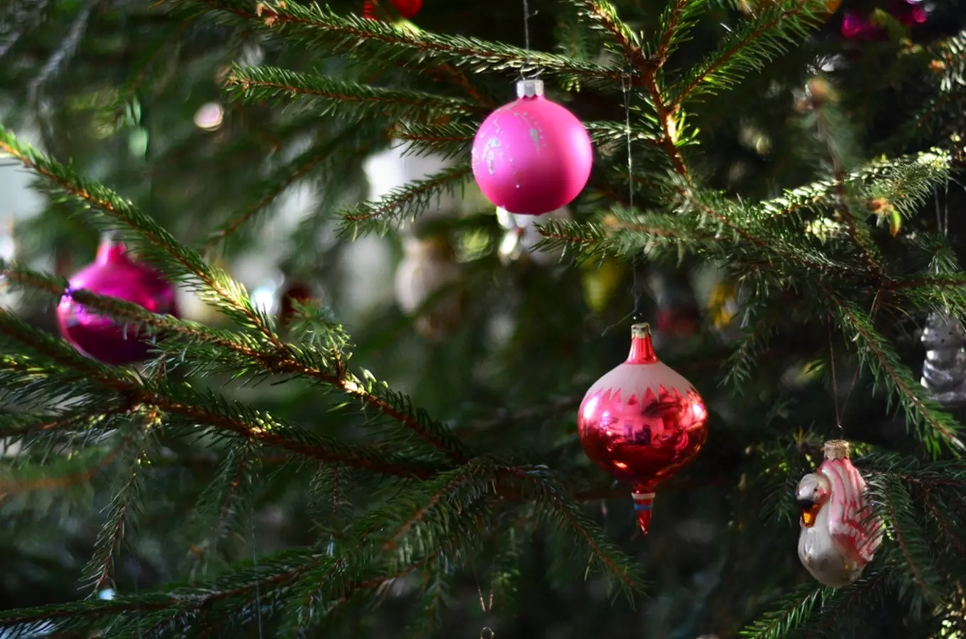 Rakovnický advent