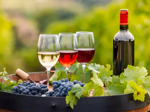 Za vinobraním se vypravte o víkendu na roudnický zámek