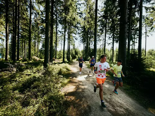 Běhejte lesy! Vyzkoušejte běžecké závody pro všechny na vlastní kůži