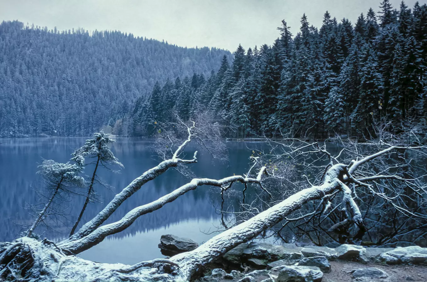 Černé jezero na Šumavě – největší přírodní jezero České republiky