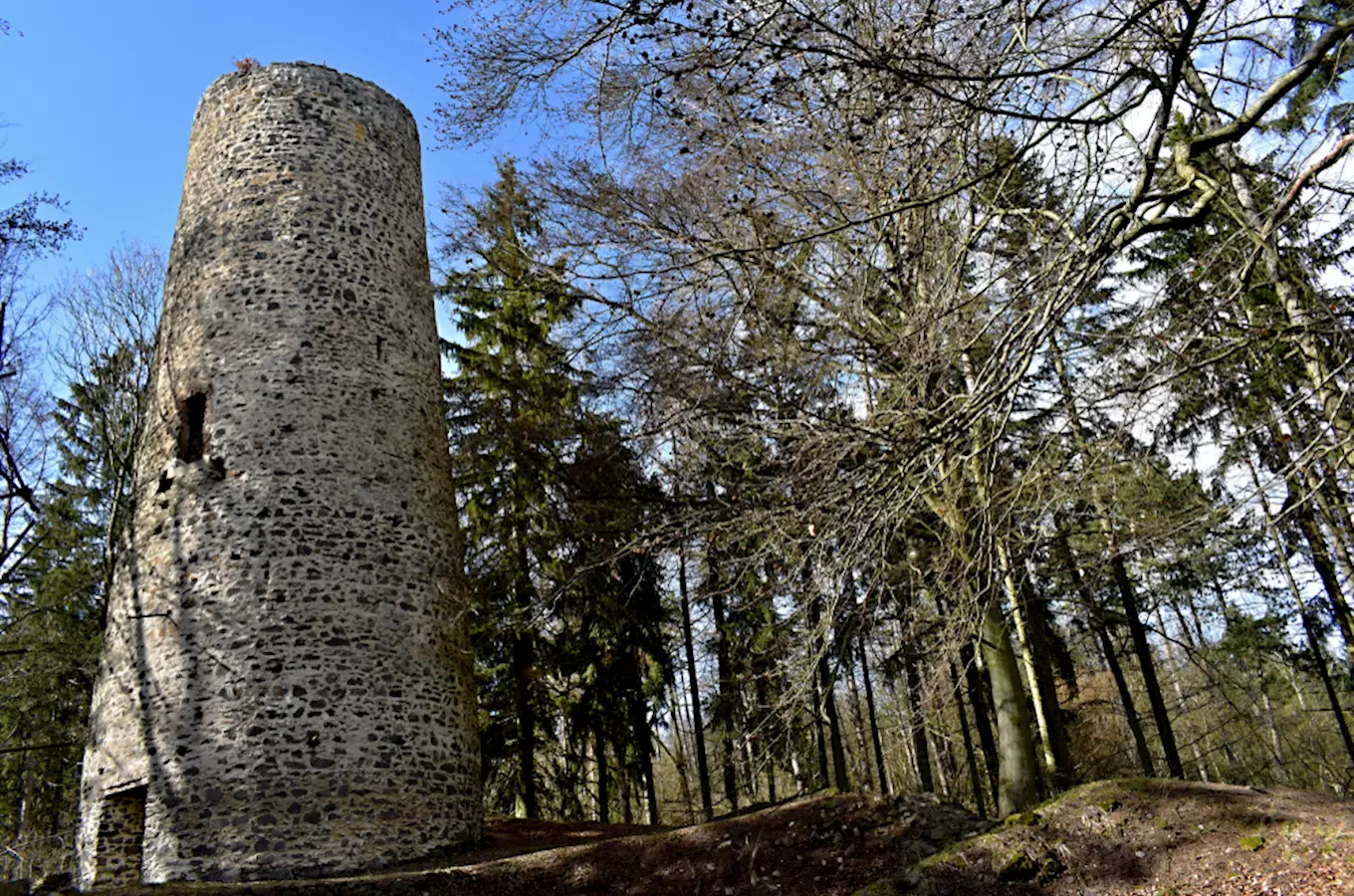 Zřícenina hradu Volfštejn u Černošína