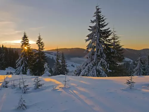 Šumavou na sněžnicích – výlety přírodou se Správou NP Šumava
