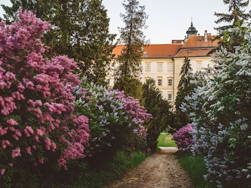 Víkend otevřených zahrad na zámku Valtice