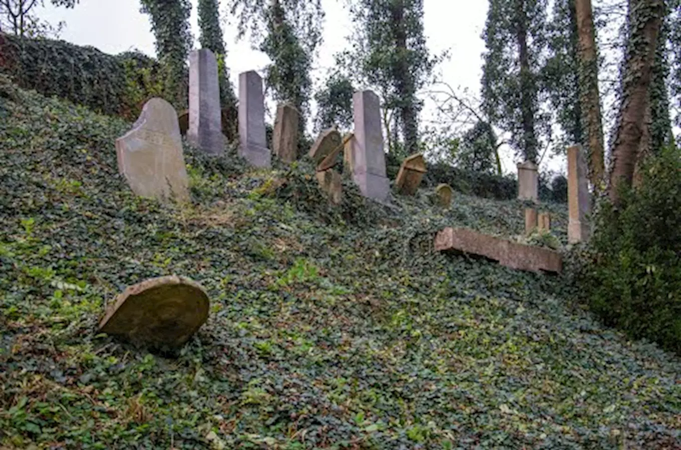 Židovský hřbitov v Bučovicích