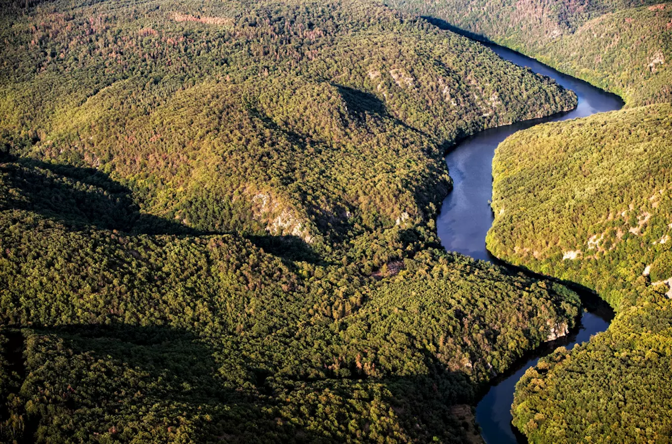 Řeka Dyje – královna národního parku Podyjí