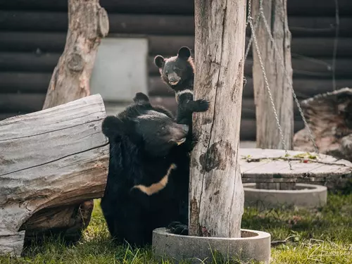 Zoo a zooparky, Kudy z nudy, Středočeský kraj