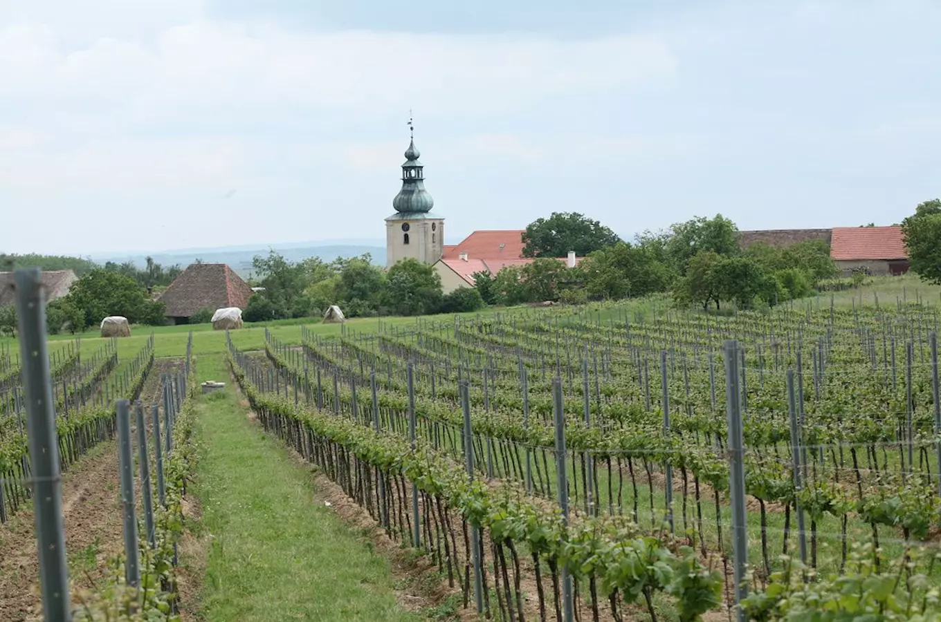 Znovín Walking – chůze, která léčí