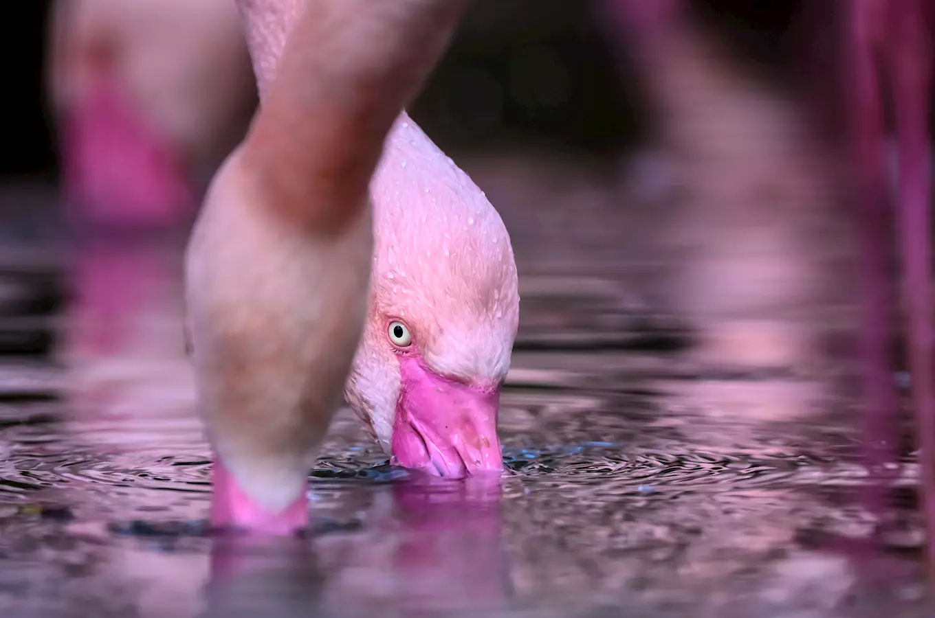 Ústecká zoologická zahrada zve na návštěvu i v říjnu