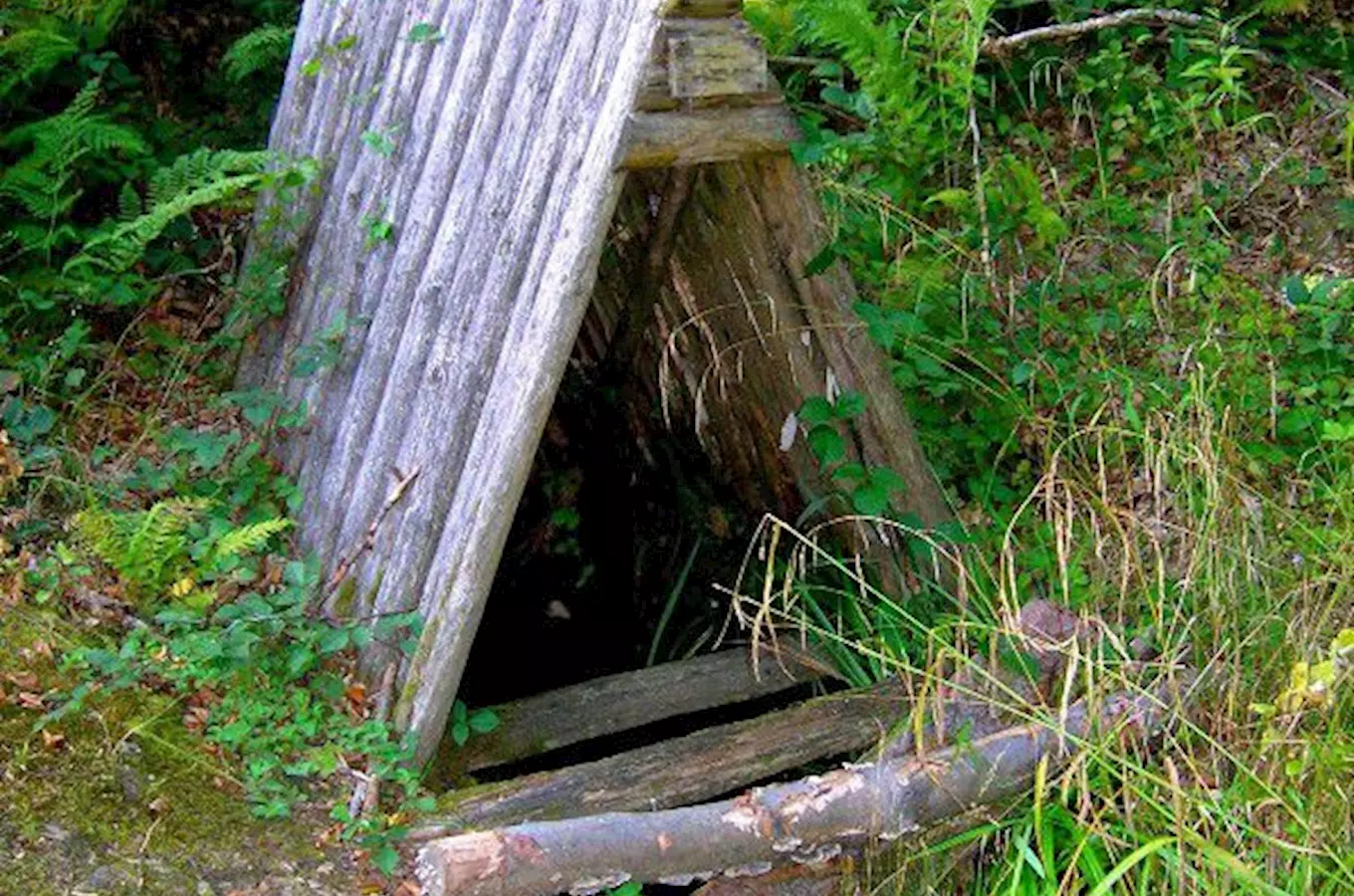 Studánka Tatarka poblíž Slavičína