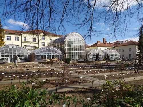 Zdroj foto: FB Botanická zahrada PřF MU Brno