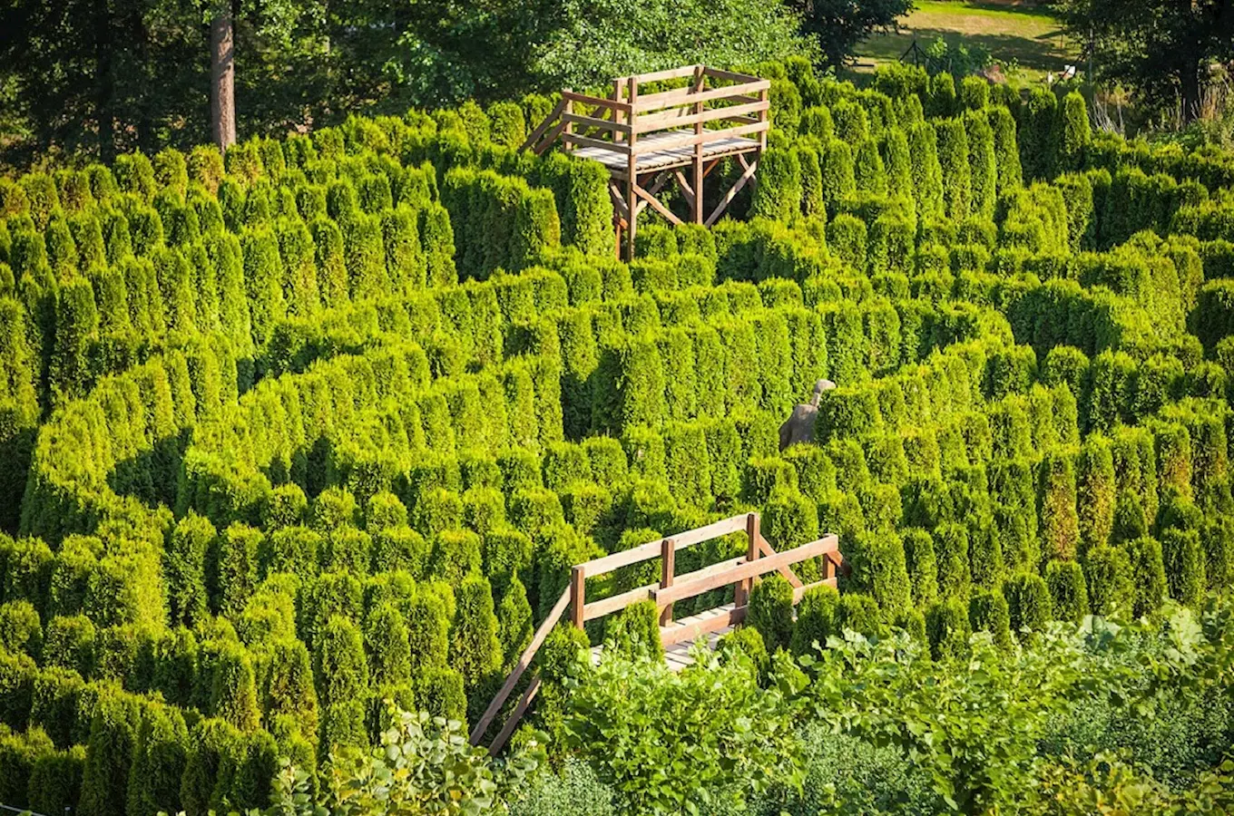 Labyrint z jehličnanů na zámku v Nových Hradech