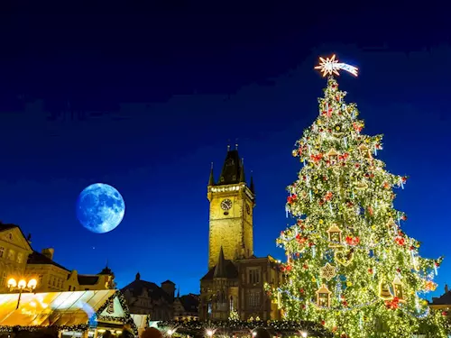 Vánoční strom pro Prahu letos přijede z Libereckého kraje