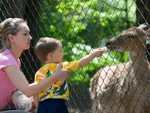 Víkend dětí v zoo Olomouc