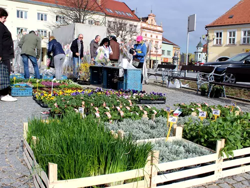Vyškovské trhy