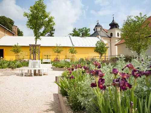 Bylinkové zahrady Žíreč – komentované prohlídky v areálu Žireč a Domova sv. Josefa