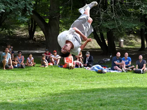 parkour 