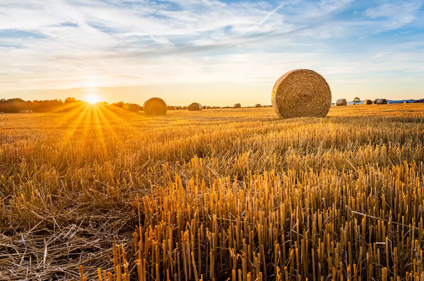 Skvělá dovolená na venkově: tipy, kam do Jižních Čech za agroturistikou