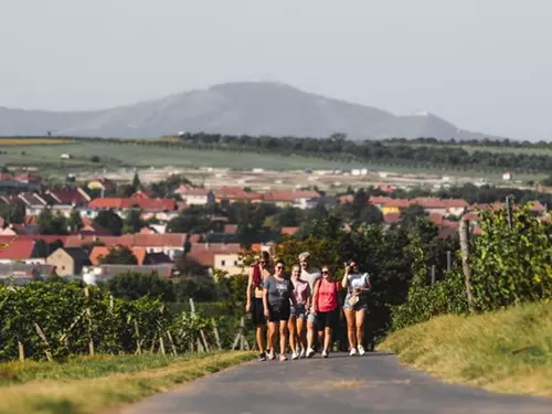 Krajem vína – Májové putování okolím Modrých Hor