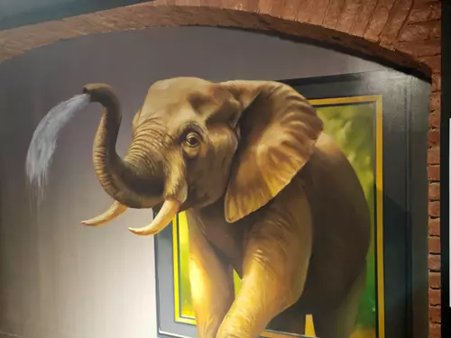 Absurdia – Muzeum iluzí v Brně