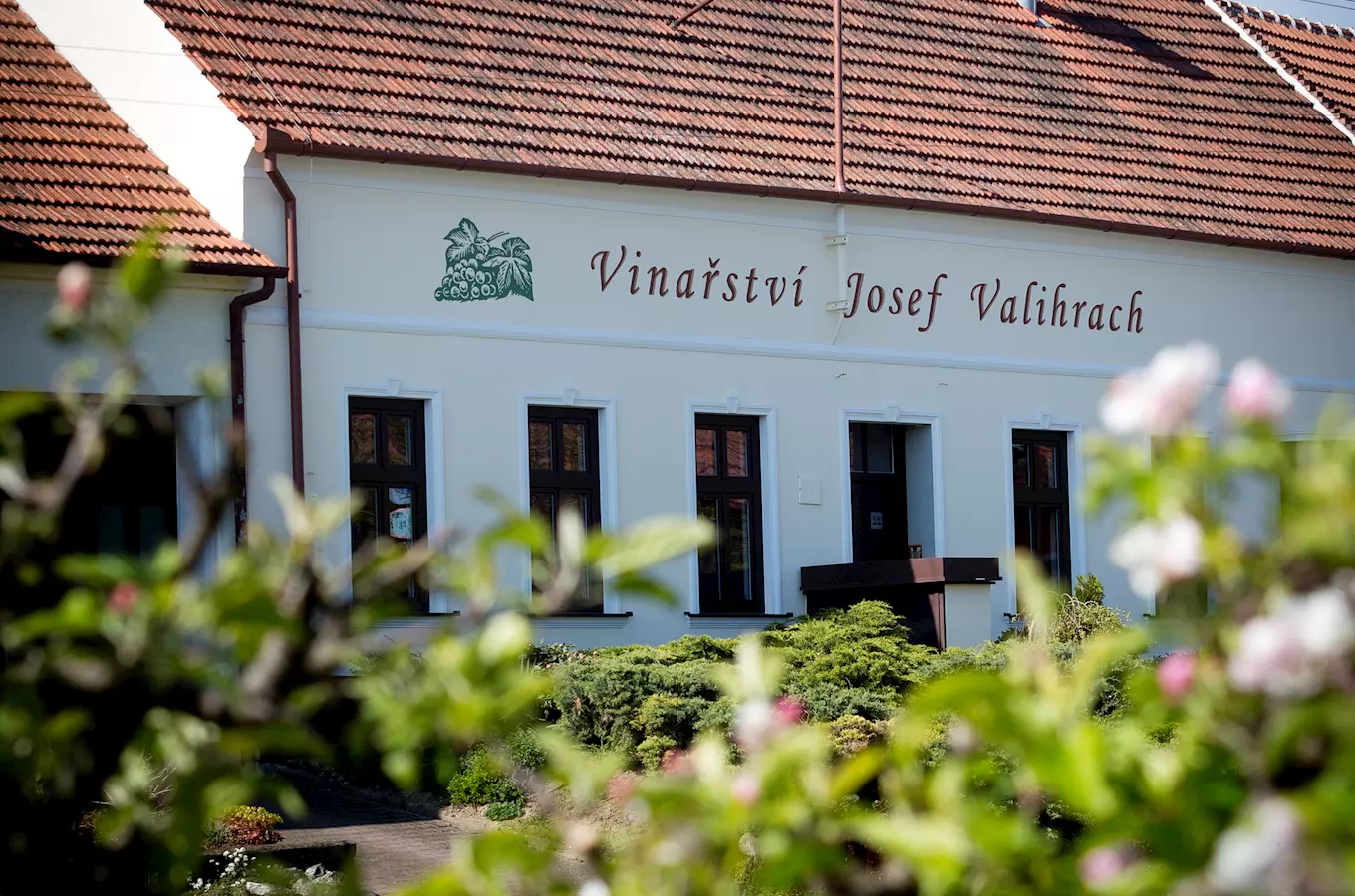 Vinařství Valihrach – ochutnejte víno od nejlepšího vinaře České republiky