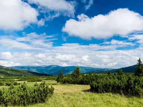 Labská louka v Krkonoších