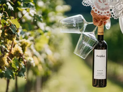 Vinařství Čapka v obci Hrušky – víno s tradicí od roku 1793