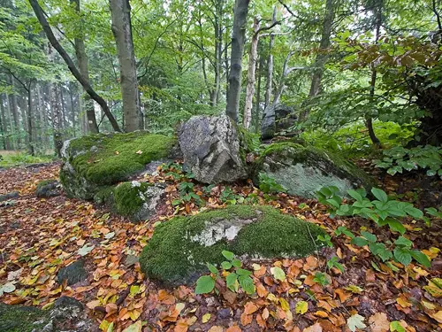 Přírodní rezervace Peperek ve Žďárských vrších