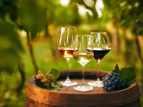 Vinný košt v Bavorech