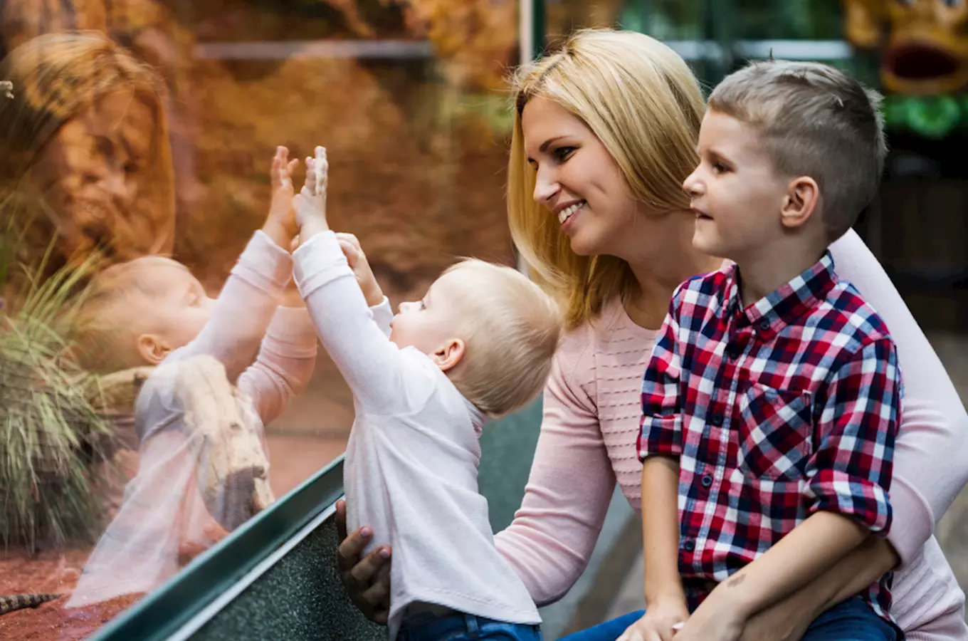 Nejnavštěvovanější turistické cíle Prahy: Pražský hrad, lanovka a zoo