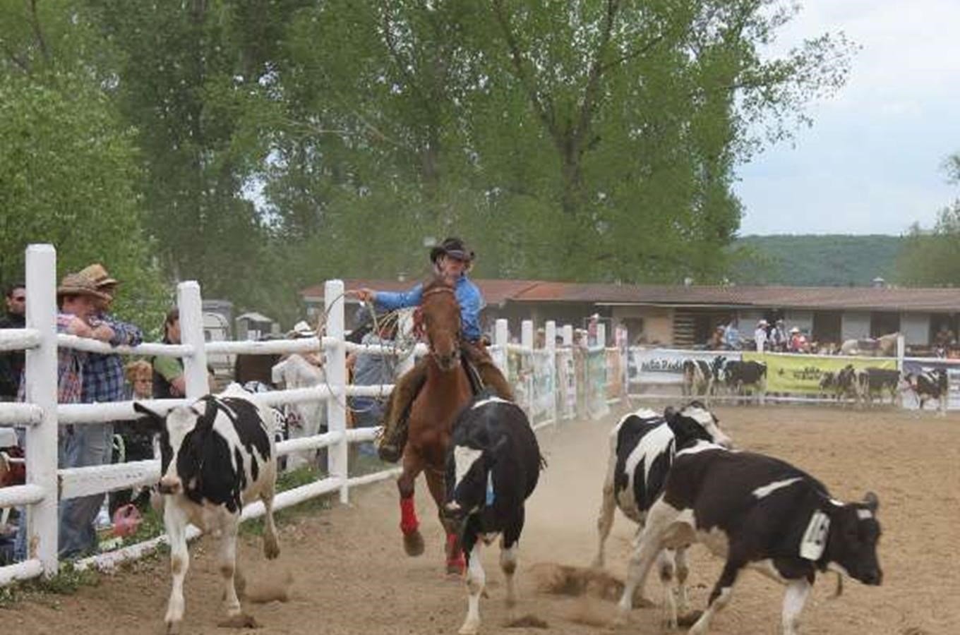 Velké Radotínské rodeo – Kudy z nudy