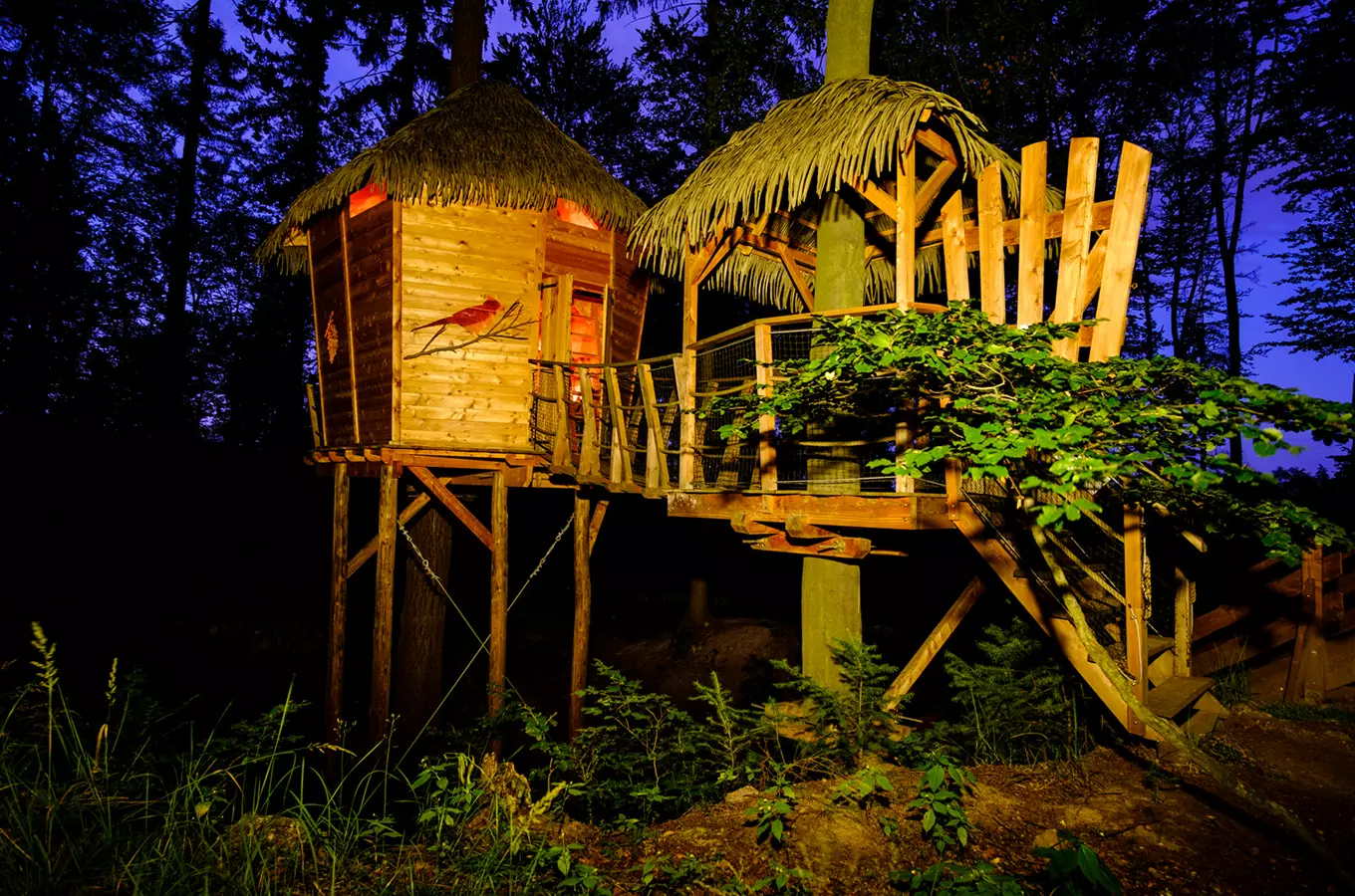 Tree House Sojčí hnízdo – ubytování v korunách stromů