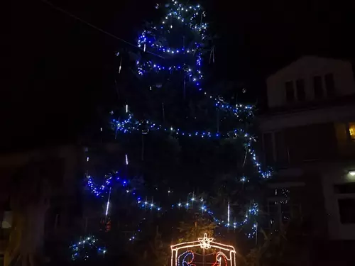 Rozsvícení vánočního stromu ve Dvorci