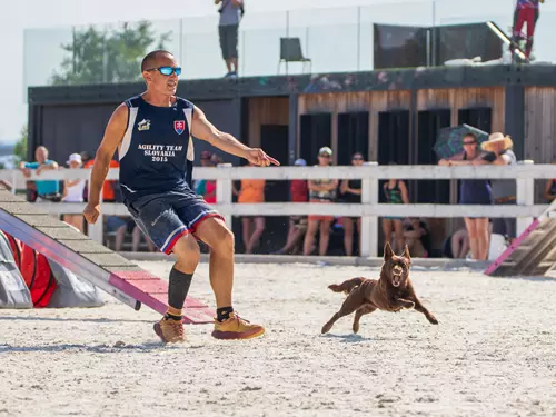 Prague Agility Party