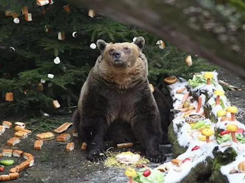 Medvědí Vánoce v Českém Krumlově
