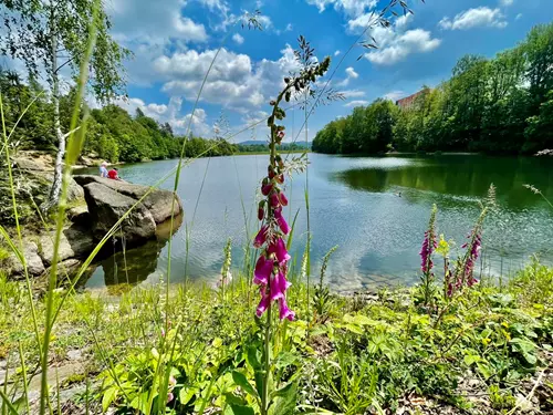 Zdroj foto: FB Jablonecké moře - Přehrada Mšeno 