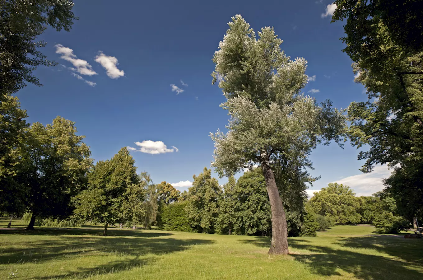 Chotkovy sady – první veřejný park v Praze