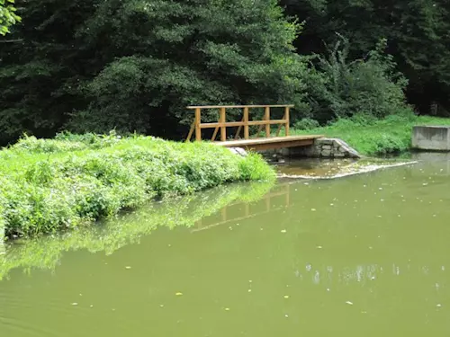 Zřícenina hradu Věžka v Druztové u Plzně