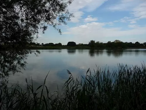 Přírodní rezervace Velký Pavlovický rybník 