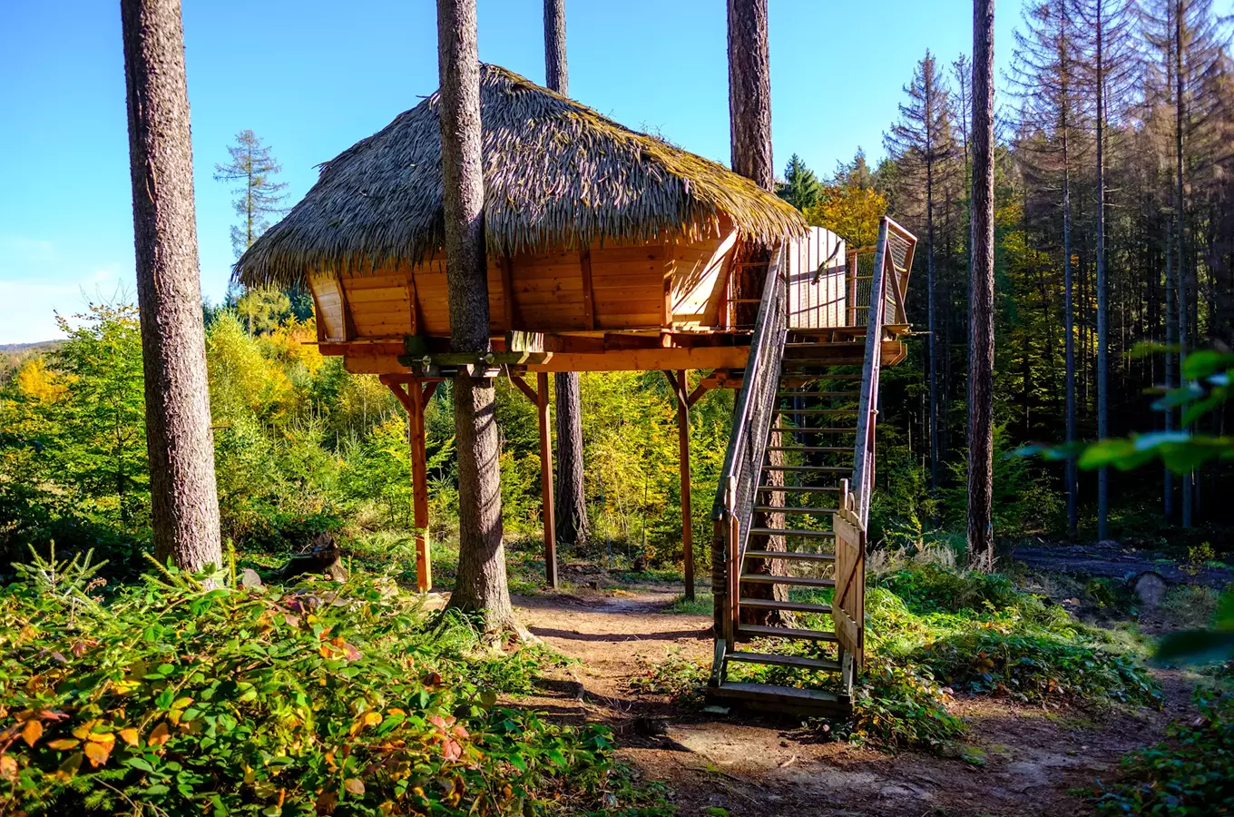 Znáte tree house? Vyzkoušejte spaní v domečku na stromě!