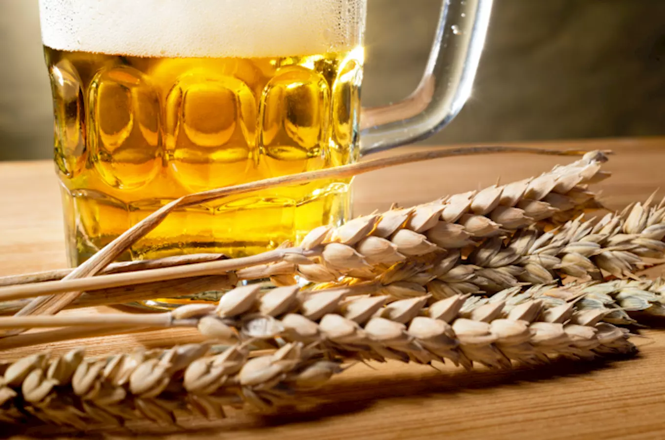 Slavnosti piva v Královském pivovaru Krušovice 2020 - zrušeno
