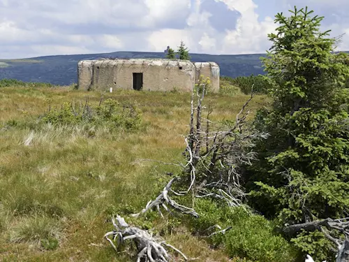 Řopíky vz. 37 v Kotelském sedle v Krkonoších