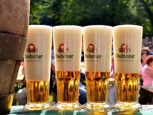 Tradiční slavnosti piva proběhnou o víkendu v pivovaru Chodovar