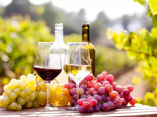 Zbraslavské vinobraní Elišky Přemyslovny 2025