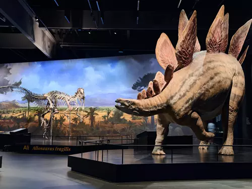 Komentovaná noční prohlídka Dinosauria Musea
