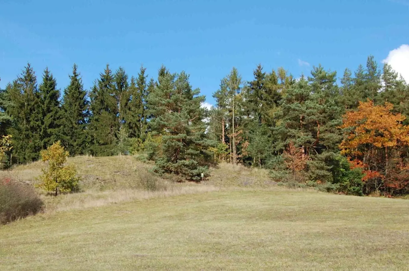 Přírodní památka Příšovská homolka na Plzeňsku 