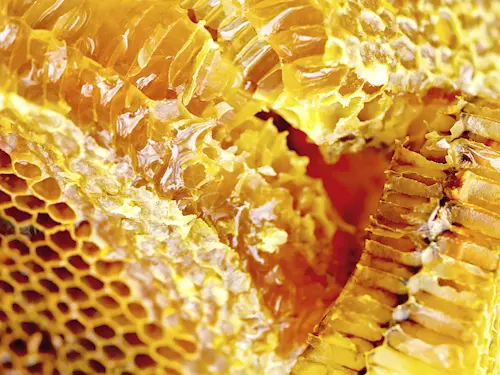 Na Náplavku se v sobotu sjedou medaři! Oslaví podzimní den českého medu