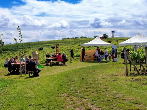 Putování vinicemi za víny VOC – Vinice ve Velkých Pavlovicích 2025