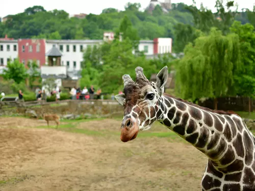 Konec prázdnin v Zoo Jihlava 2025